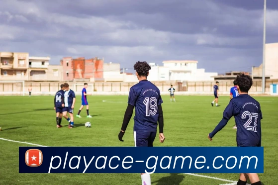 PA电子官网发展历程